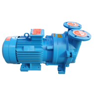20 HP Liquid Ring Vacuum Pump with Motor, 3-Phase (8.33 m3/min or 294 CFM) | 2BV5161