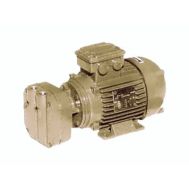 DEKKER DV0006B-MA5, 6 ACFM, 0.75 HP Single-Stage Motor-Mounted Liquid Ring Vacuum Pump