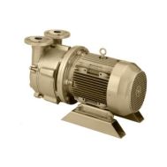 DEKKER DV0150D-MB4-SGL, 150 CFM, 10 HP Single-Stage Motor-Mounted Liquid Ring Vacuum Pump 316/316/316SS