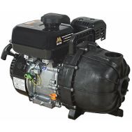 Mi-T-M WTP-F02-1MGM, Chemical/Liquid Fertilizer Pump 2-Inch
